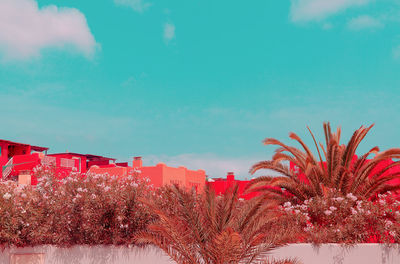 Canary island location. colorfull fashion minimal travel design. ideal for touristic card