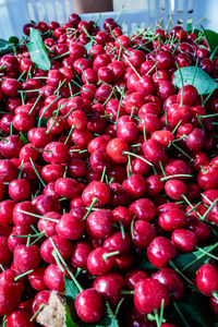 Close-up of red fruits for sale in market