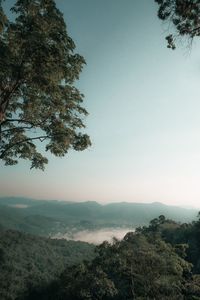 Scenic view of tree mountain against sky