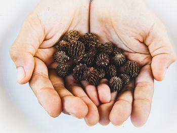 Cropped image of person holding apple against white background