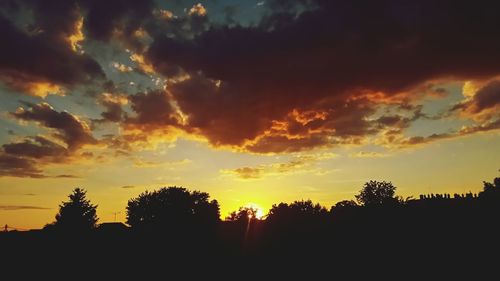 Silhouette of trees against dramatic sky