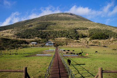 Scenic view of landscape against cloudy sky