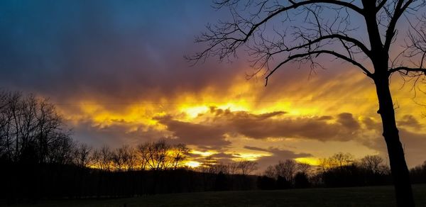 Silhouette trees on landscape against sky during sunset