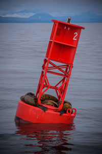 Red boat in sea against sky