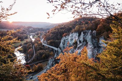 Scenic view of forest against sky during autumn