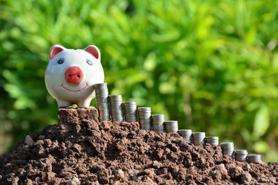 Close-up of piggy bank and coins