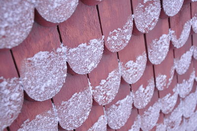 Full frame shot of frozen sticks