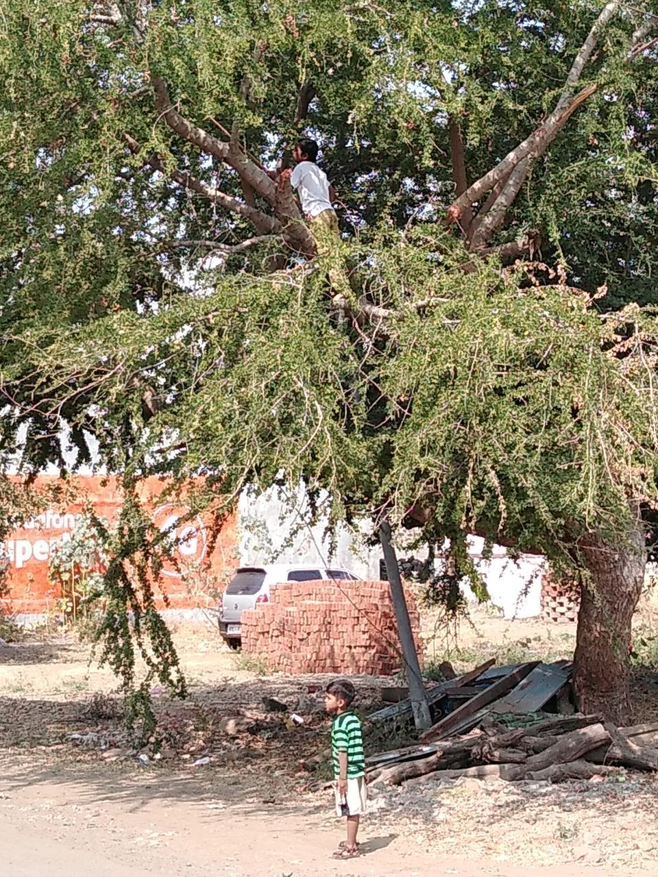 REAR VIEW OF BOY STANDING BY PLANTS