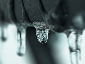 Close-up of icicle on railing