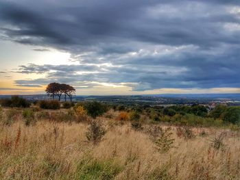 Scenic view of grassy field against cloudy sky