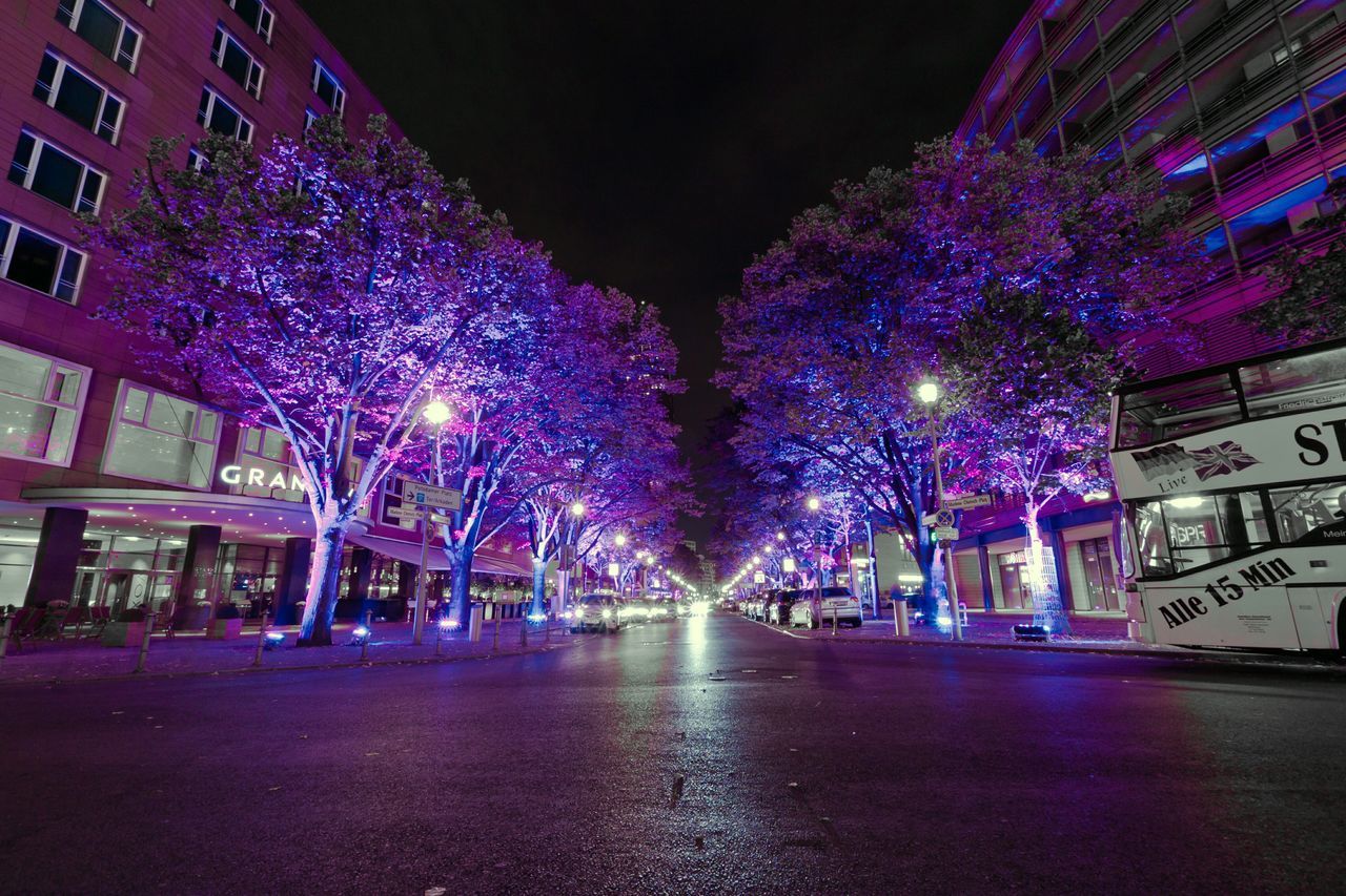 illuminated, night, building exterior, architecture, built structure, celebration, lighting equipment, decoration, tree, christmas, christmas decoration, multi colored, street light, city, christmas lights, glowing, christmas tree, light - natural phenomenon, street, outdoors