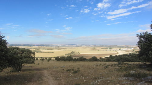 Scenic view of agricultural field against sky