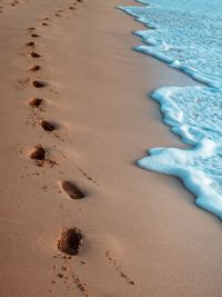 High angle view of footprints on wet sand at beach