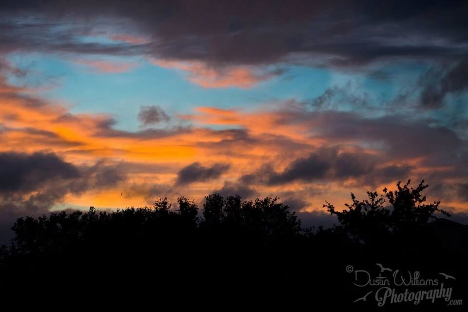 silhouette, tree, sky, sunset, cloud - sky, tranquility, scenics, tranquil scene, beauty in nature, nature, cloudy, cloud, low angle view, dusk, dramatic sky, growth, idyllic, outdoors, overcast, orange color