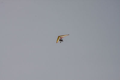 Low angle view of bird flying against clear sky