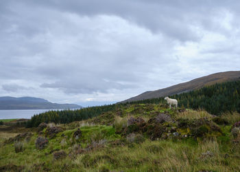 Scenic view of land against sky