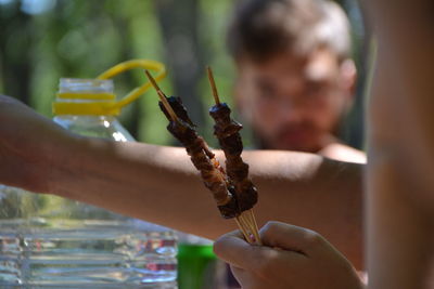 Close-up of hand holding leaf