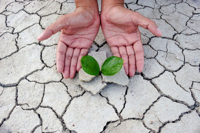 Close-up of human hand on cobblestone