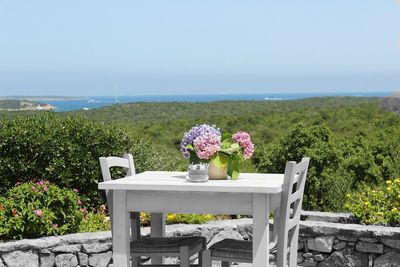 Flowers growing in sea