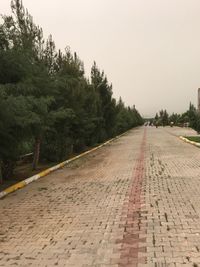 Road by trees against sky