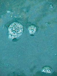 High angle view of bubbles floating on water