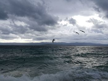 Seagulls flying over sea against sky