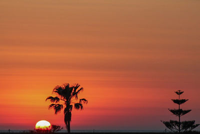 Silhouette palm tree against sea during sunset