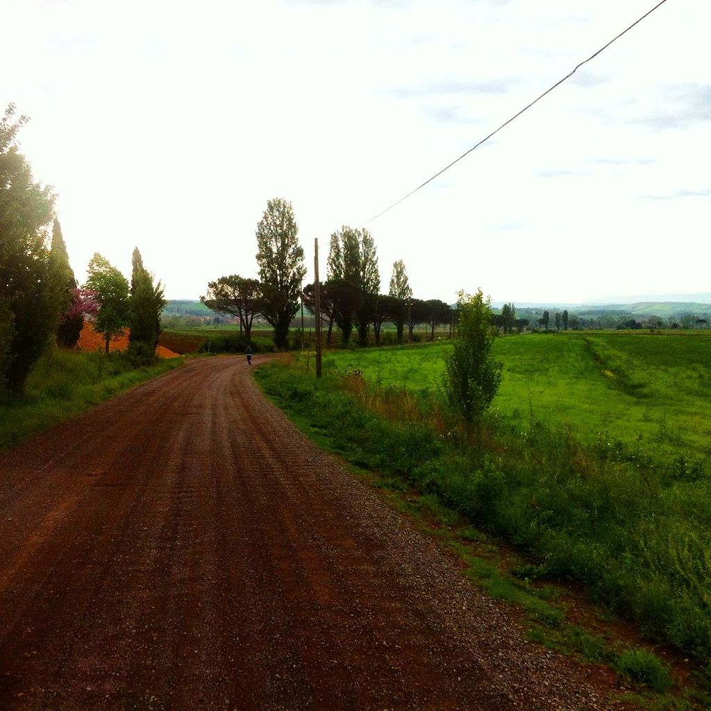 the way forward, diminishing perspective, vanishing point, sky, tree, road, dirt road, grass, transportation, landscape, tranquility, country road, tranquil scene, field, rural scene, clear sky, empty road, nature, long, built structure