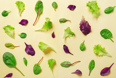 High angle view of fruits against white background