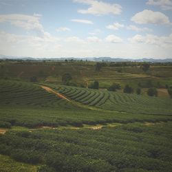 Scenic view of field against cloudy sky