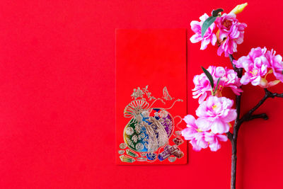 Close-up of pink flower against red wall