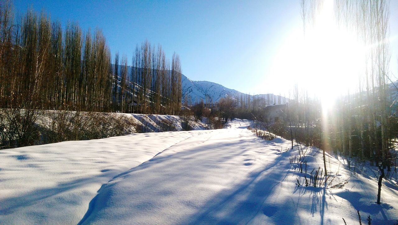 snow, winter, cold temperature, season, sun, sunlight, covering, tree, weather, sunbeam, tranquility, clear sky, tranquil scene, nature, landscape, beauty in nature, white color, frozen, scenics, snow covered