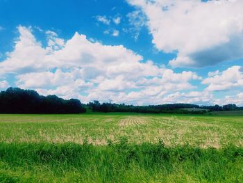 Scenic view of field against sky