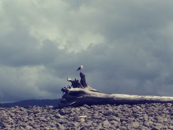 Low angle view of man sitting on rock against sky