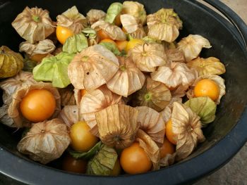 Close-up of vegetables