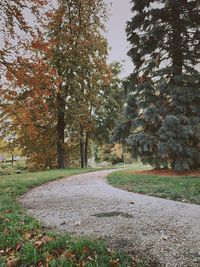 Empty road along trees during autumn