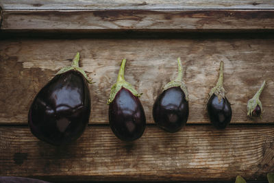 Composition of eggplants of different sizes and shapes on a wooden windowsill.