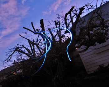 Low angle view of bare trees against sky