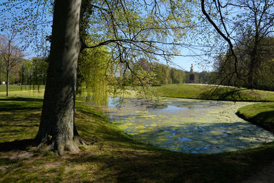 Scenic view of trees by lake against sky