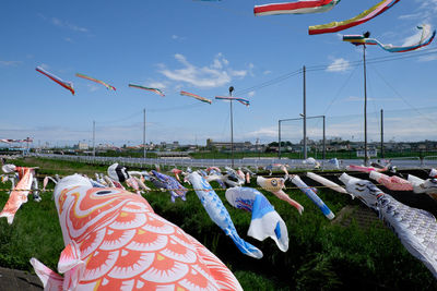 Koinobori hanging against sky