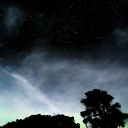 Low angle view of trees against sky