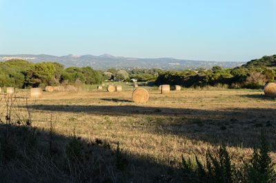 Hay bales on field against clear sky