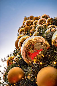 Close-up of christmas tree against clear sky