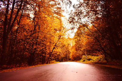 Road amidst trees during autumn