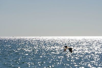 Man swimming in sea against clear sky