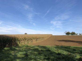 Scenic view of field against sky