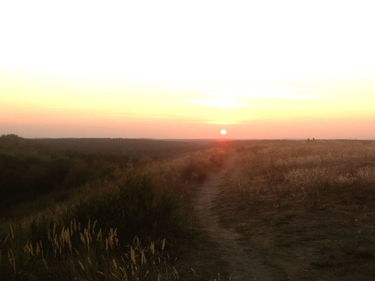 sunset, tranquil scene, landscape, sun, scenics, tranquility, beauty in nature, nature, sky, the way forward, idyllic, orange color, dirt road, field, horizon over land, remote, non-urban scene, lens flare, calm, outdoors, majestic, solitude, moody sky, no people, atmosphere, outline, countryside