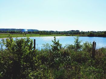 Scenic view of lake against clear sky