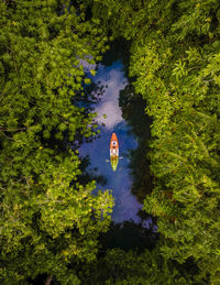 High angle view of lake in forest