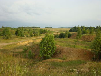 Scenic view of agricultural field against sky